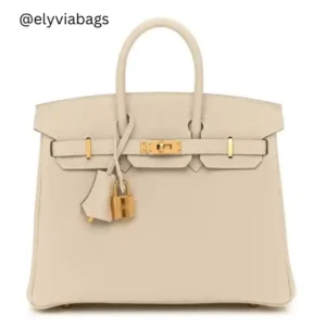 Birkin Perchemin Front View