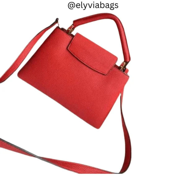 LV Capucines MM Handbag back view