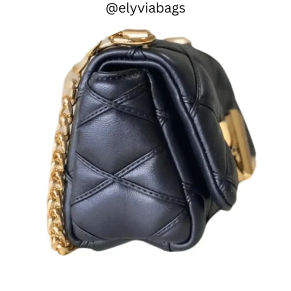 Louis Vuitton Pico GO-14 handbag side view