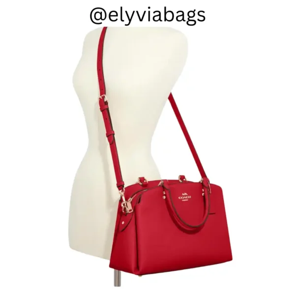 Coach unisex lillie carryall bag Red shoulder carry view