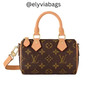 LV Nano Speedy Bag