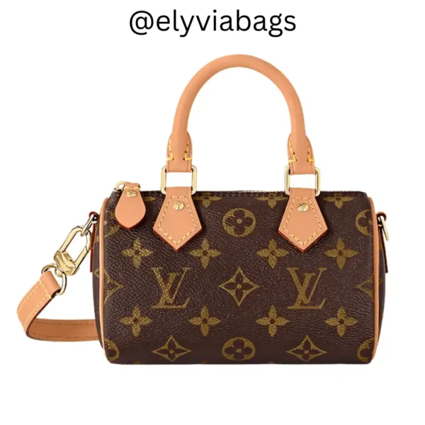 LV Nano Speedy Bag