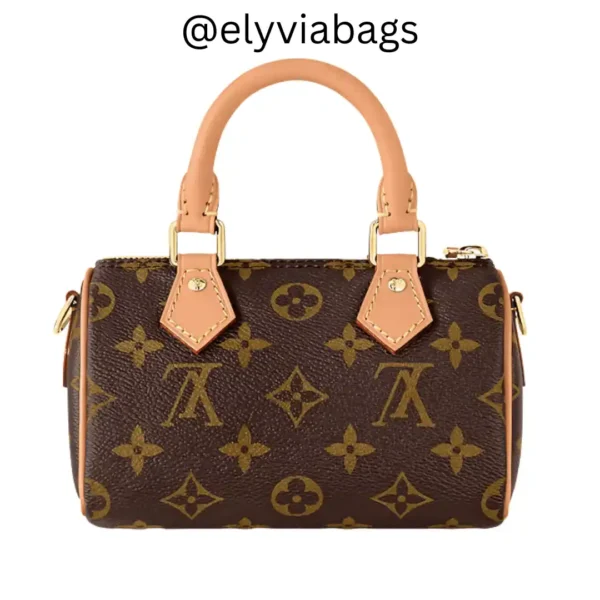 LV Nano Speedy Bag back view