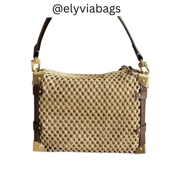 LV Side Trunk MM Bag back view