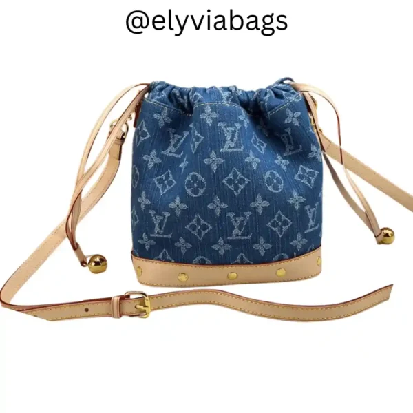 lv nano noe bucket bag back view