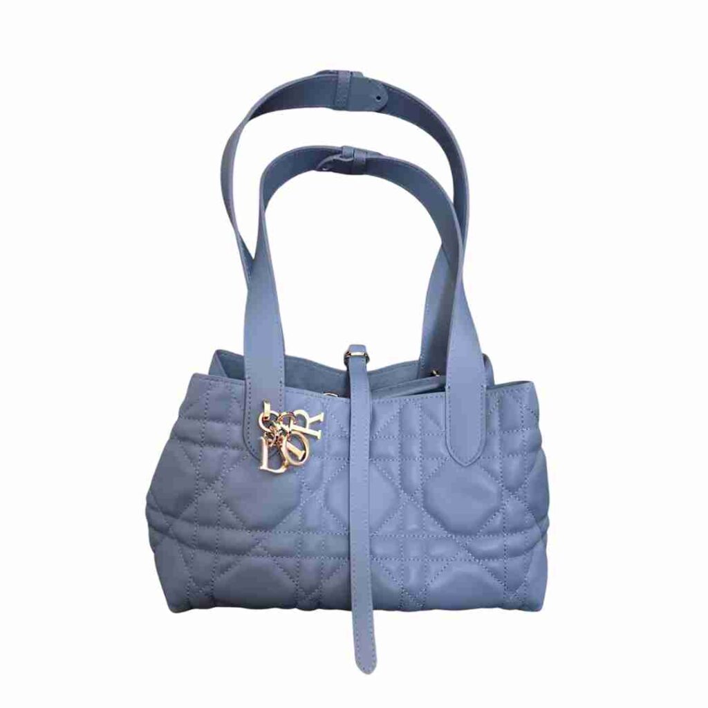 elegant bags elyviabags